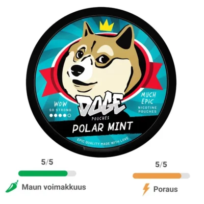 Doge Polar Mint nikotiinipussi